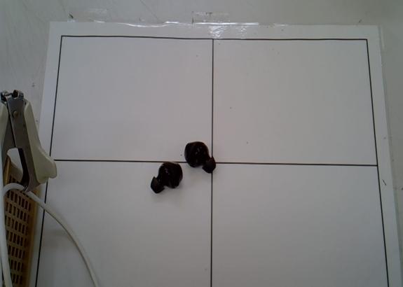 검정 무선이어폰 유닛 