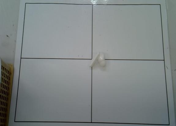 흰색 무선이어폰 유닛 한쪽