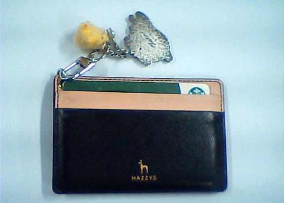 여성 카드지갑(카드 등)