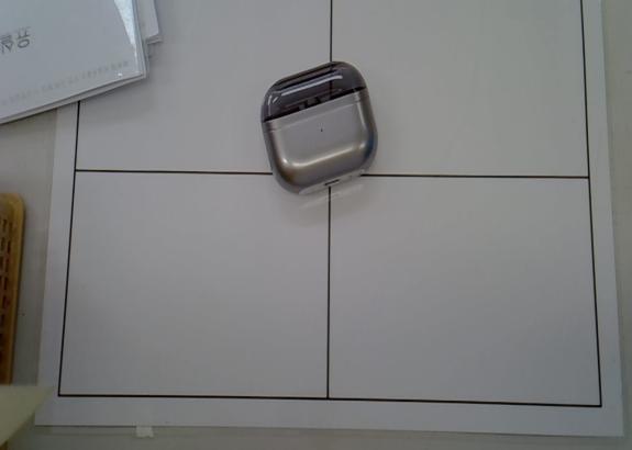 회색 버즈