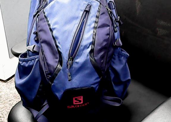 SALOMON 가방