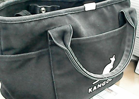 캉골 핸드백